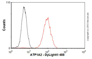 Flow Cytometry - Anti-pan ATPase Alpha antibody [M7-PB-E9] - Plasma Membrane Loading Control (AB2871)