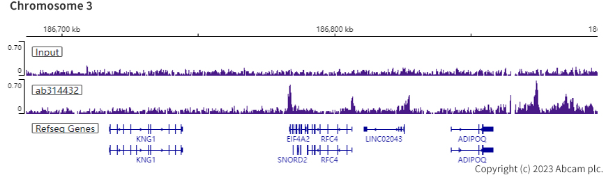 ChIP-sequencing - Anti-pan Brd4 antibody [EPR25424-71] - BSA and Azide free (ab314433), expandable thumbnail