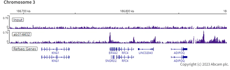 ChIP-sequencing - Anti-pan Brd4 antibody [EPR25424-71] - BSA and Azide free (AB314433)
