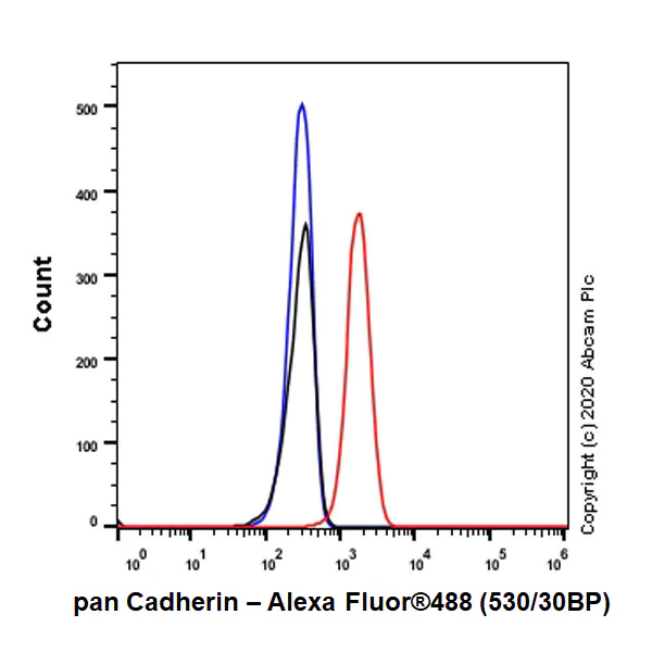 Flow Cytometry (Intracellular) - Anti-pan Cadherin antibody [EPR1792Y] - Intercellular Junction Marker (AB51034)