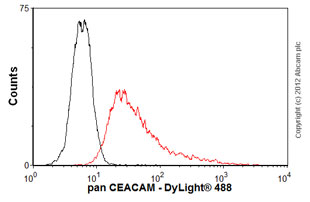 Flow Cytometry - Anti-pan CEACAM antibody [TET2] (AB26283)