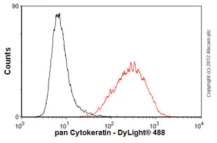 Mmm様　確認用 Anti-TOMM20 antibody [EPR15581-39] - Mitochondrial Marker