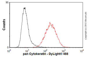 Flow Cytometry - Anti-pan Cytokeratin antibody [AE1/AE3] - BSA and Azide free (AB80826), expandable thumbnail