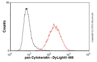 Flow Cytometry - Anti-pan Cytokeratin antibody [AE1/AE3] - BSA and Azide free (AB80826)
