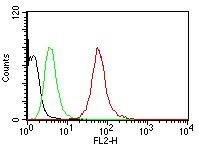 Flow Cytometry - Anti-pan Cytokeratin antibody [AE1/AE3] - BSA and Azide free (AB80826), expandable thumbnail