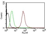 Flow Cytometry - Anti-pan Cytokeratin antibody [AE1/AE3] - BSA and Azide free (AB80826)