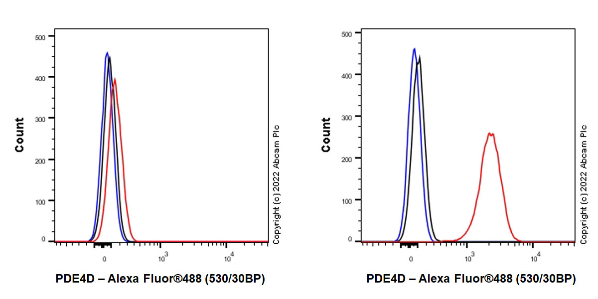 Flow Cytometry (Intracellular) - Anti-pan PDE4 antibody [EPR25202-101] (AB300108), expandable thumbnail