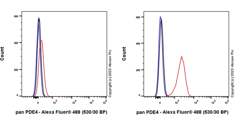 Flow Cytometry (Intracellular) - Anti-pan PDE4 antibody [EPR25202-101] - BSA and Azide free (AB300109)
