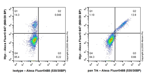 Flow Cytometry (Intracellular) - Anti-Pan Trk antibody [EP1058Y] (ab76291), expandable thumbnail