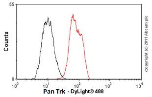 Anti-Pan Trk antibody [EP1058Y] Rabbit monoclonal (ab76291