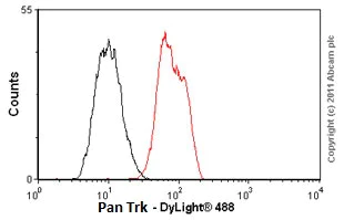 Flow Cytometry (Intracellular) - Anti-Pan Trk antibody [EP1058Y] (AB76291)