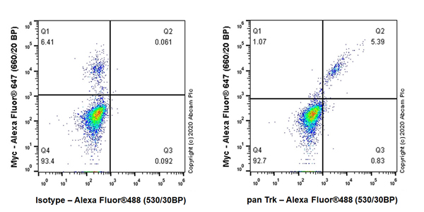 Flow Cytometry (Intracellular) - Anti-Pan Trk antibody [EP1058Y] (ab76291), expandable thumbnail
