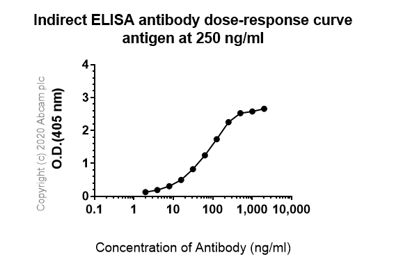 Indirect ELISA - Anti-Pan Trk antibody [EP1058Y] (ab76291), expandable thumbnail