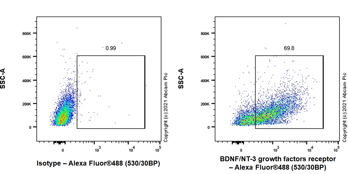 Flow Cytometry (Intracellular) - Anti-Pan Trk antibody [EPR24009-335] (AB267830), expandable thumbnail