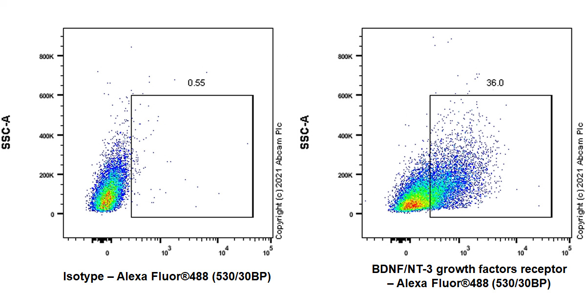 Flow Cytometry (Intracellular) - Anti-Pan Trk antibody [EPR24009-335] (AB267830), expandable thumbnail