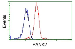Flow Cytometry (Intracellular) - Anti-PANK2 antibody [OTI3H9] (AB119070)