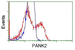 Flow Cytometry (Intracellular) - Anti-PANK2 antibody [OTI3H9] (AB119070)