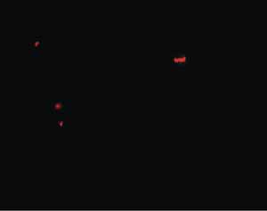 Immunocytochemistry/ Immunofluorescence - Anti-Pannexin 1 antibody (AB139715), expandable thumbnail
