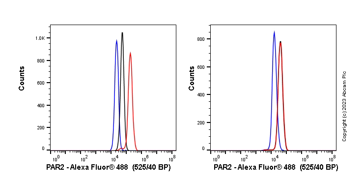 Flow Cytometry (Intracellular) - Anti-PAR2 antibody [EPR13675] (ab180953), expandable thumbnail