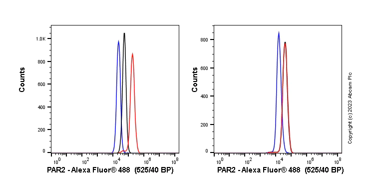 Flow Cytometry (Intracellular) - Anti-PAR2 antibody [EPR13675] - BSA and Azide free (AB240232)