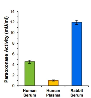 Functional Studies - Paraoxonase 1 Activity Assay Kit (AB241044)