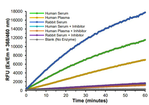 Functional Studies - Paraoxonase 1 Activity Assay Kit (AB241044)