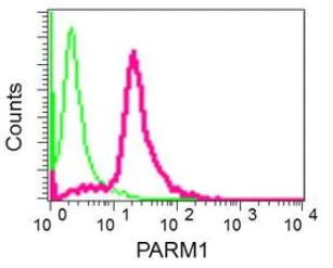 Flow Cytometry (Intracellular) - Anti-PARM-1 antibody [EPR10009] (AB168369)