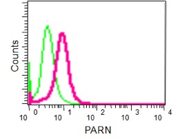 Flow Cytometry (Intracellular) - Anti-PARN antibody [EPR11670(2)] (AB188333)