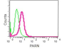 Flow Cytometry (Intracellular) - Anti-PARN antibody [EPR11670(2)] - BSA and Azide free (AB250959)