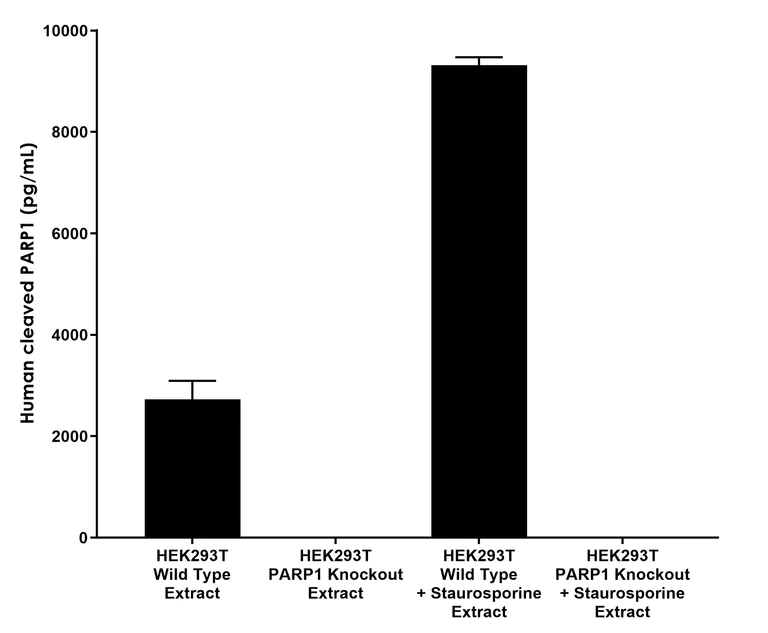 Sandwich ELISA - Anti-PARP1 antibody [EPR78-2] - BSA and Azide free (Detector) (AB315132)
