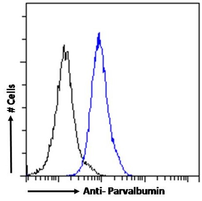 Flow Cytometry - Anti-Parvalbumin antibody (AB32895)