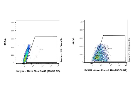 Flow Cytometry (Intracellular) - Anti-Parvalbumin antibody [EPR23455-24] - BSA and Azide free (Capture) (AB281158)