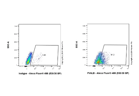 Flow Cytometry (Intracellular) - Anti-Parvalbumin antibody [EPR23455-24] - BSA and Azide free (Capture) (AB281158)