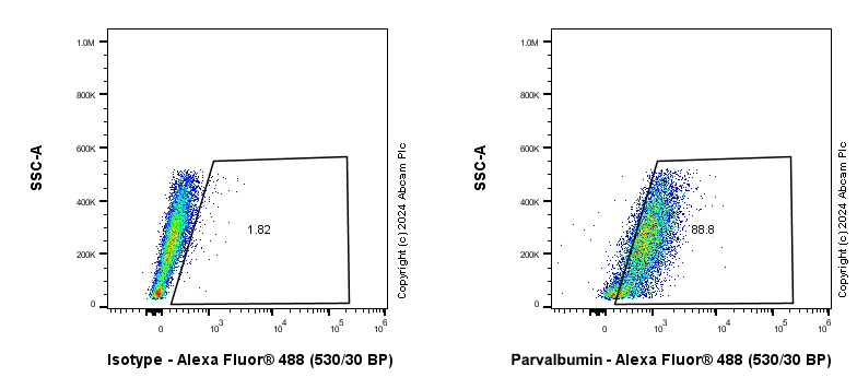 Flow Cytometry (Intracellular) - Anti-Parvalbumin antibody [RM1120] (ab316220), expandable thumbnail