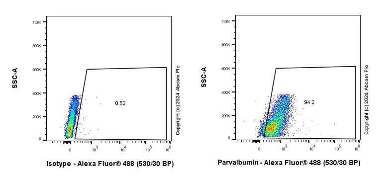 Flow Cytometry (Intracellular) - Anti-Parvalbumin antibody [RM1120] - BSA and Azide free (AB316221)