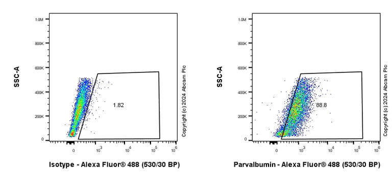 Flow Cytometry (Intracellular) - Anti-Parvalbumin antibody [RM1120] - BSA and Azide free (AB316221)