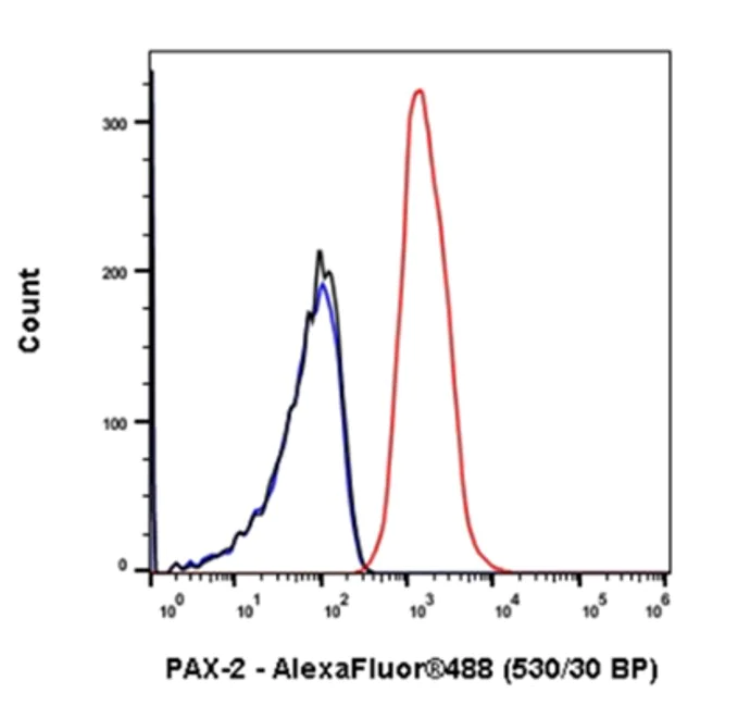 Flow Cytometry (Intracellular) - Anti-Pax2 antibody [EP3251] (AB79389)