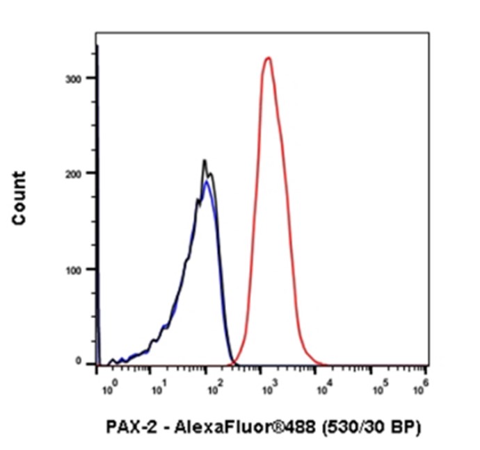 Flow Cytometry (Intracellular) - Anti-Pax2 antibody [EP3251] - BSA and Azide free (ab284763), expandable thumbnail