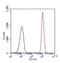 Flow Cytometry - Anti-PAX5 antibody (AB183575)