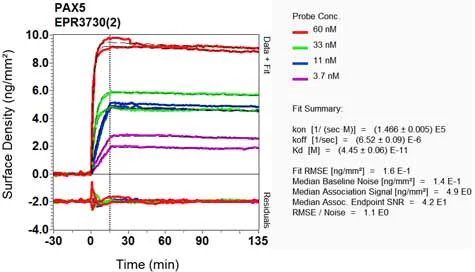 OI-RD Scanning - Anti-PAX5 antibody [EPR3730(2)] - BSA and Azide free (AB193556)
