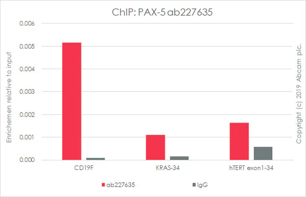 ChIP - Anti-PAX5 antibody [SP34] - ChIP Grade (AB227635)