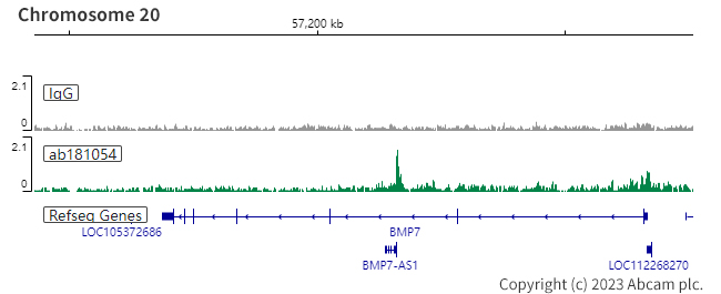ChIC/CUT&RUN sequencing - Anti-PAX8 antibody [EPR13510] (AB181054), expandable thumbnail