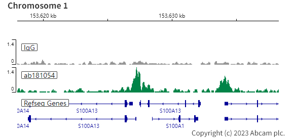 ChIC/CUT&RUN sequencing - Anti-PAX8 antibody [EPR13510] (ab181054), expandable thumbnail