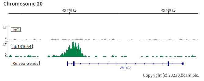 ChIC/CUT&RUN sequencing - Anti-PAX8 antibody [EPR13510] (ab181054), expandable thumbnail