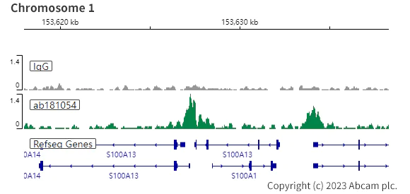 ChIC/CUT&RUN sequencing - Anti-PAX8 antibody [EPR13510] - BSA and Azide free (AB250312)