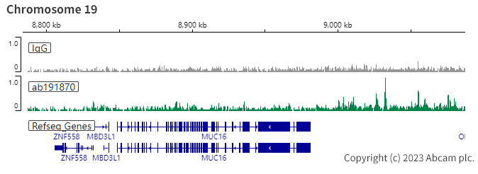 ChIC/CUT&RUN sequencing - Anti-PAX8 antibody [EPR18715] - BSA and Azide free (ab246332), expandable thumbnail