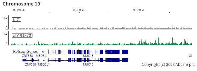 ChIC/CUT&RUN sequencing - Anti-PAX8 antibody [EPR18715] - BSA and Azide free (AB246332)
