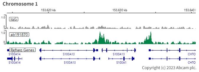 ChIC/CUT&RUN sequencing - Anti-PAX8 antibody [EPR18715] - BSA and Azide free (ab246332), expandable thumbnail