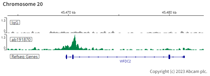 ChIC/CUT&RUN sequencing - Anti-PAX8 antibody [EPR18715] - BSA and Azide free (ab246332), expandable thumbnail