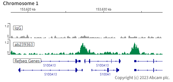 ChIC/CUT&RUN sequencing - Anti-PAX8 antibody [EPR23508-20] (ab239363), expandable thumbnail